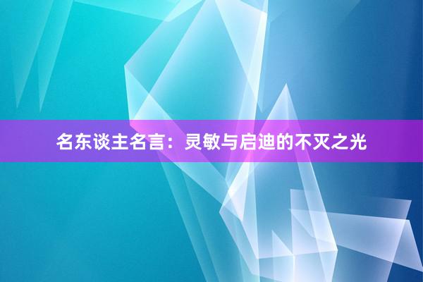 名东谈主名言：灵敏与启迪的不灭之光