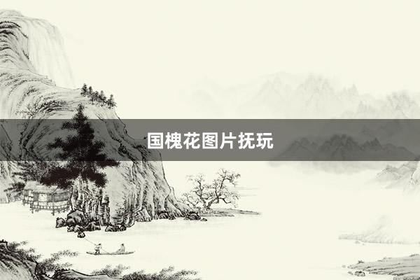 国槐花图片抚玩